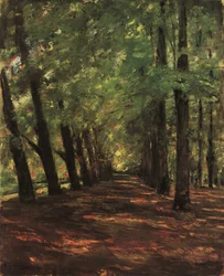 Overveenのアリー